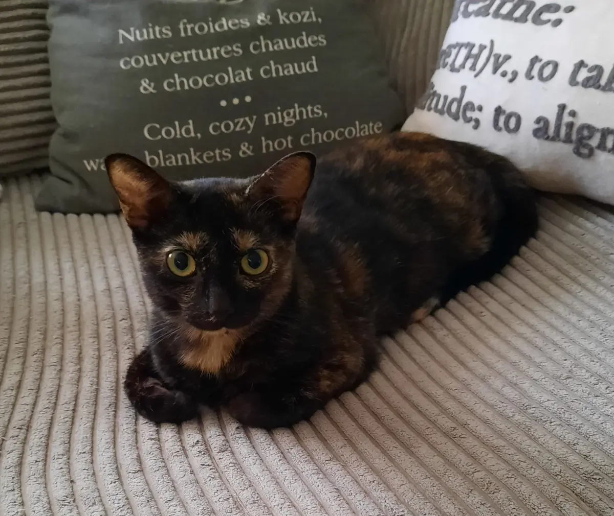 Angel