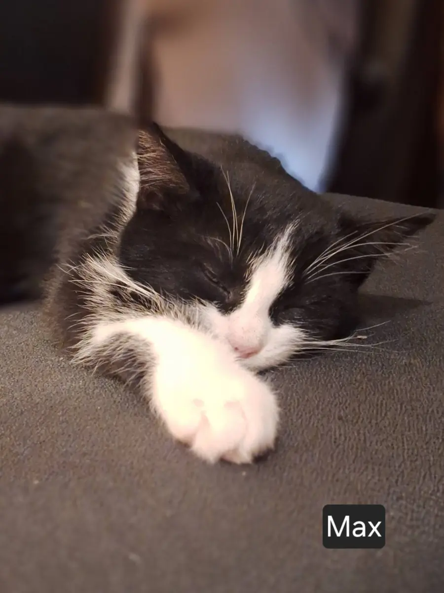 Max