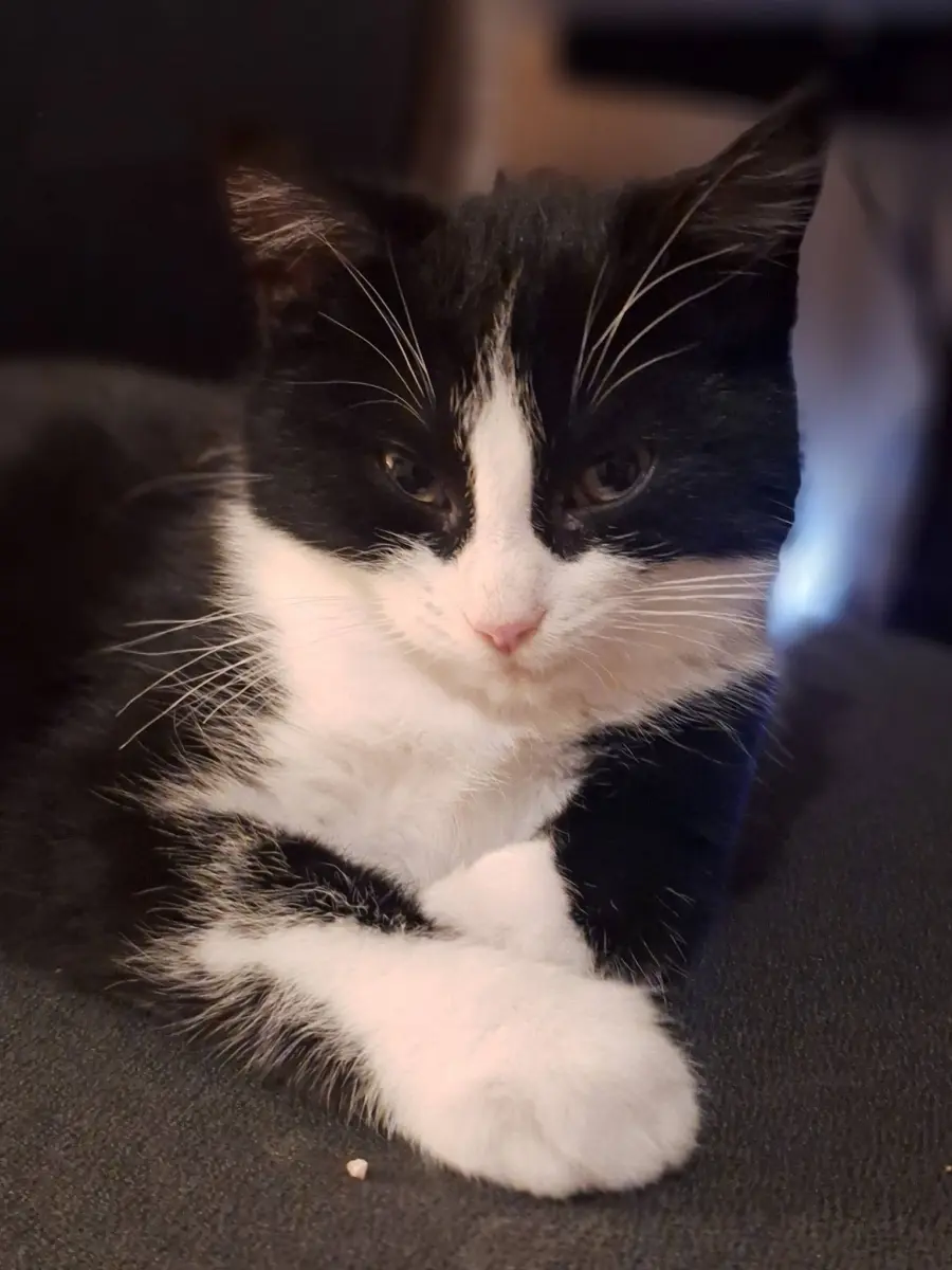 Max