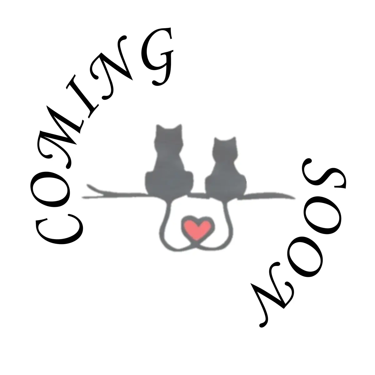 COMING SOON - BonBon's Litter