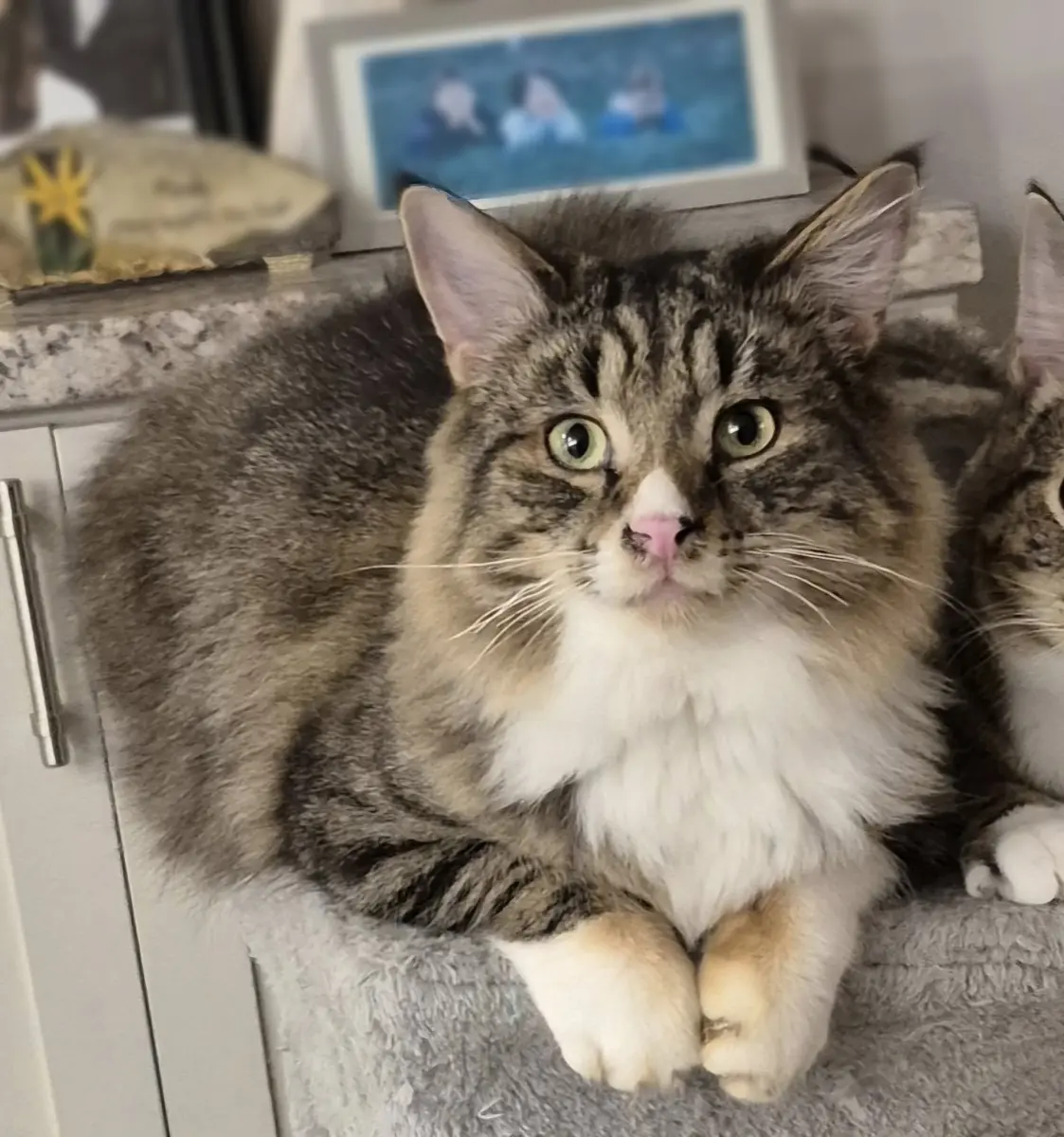 Maverick & Olivia 